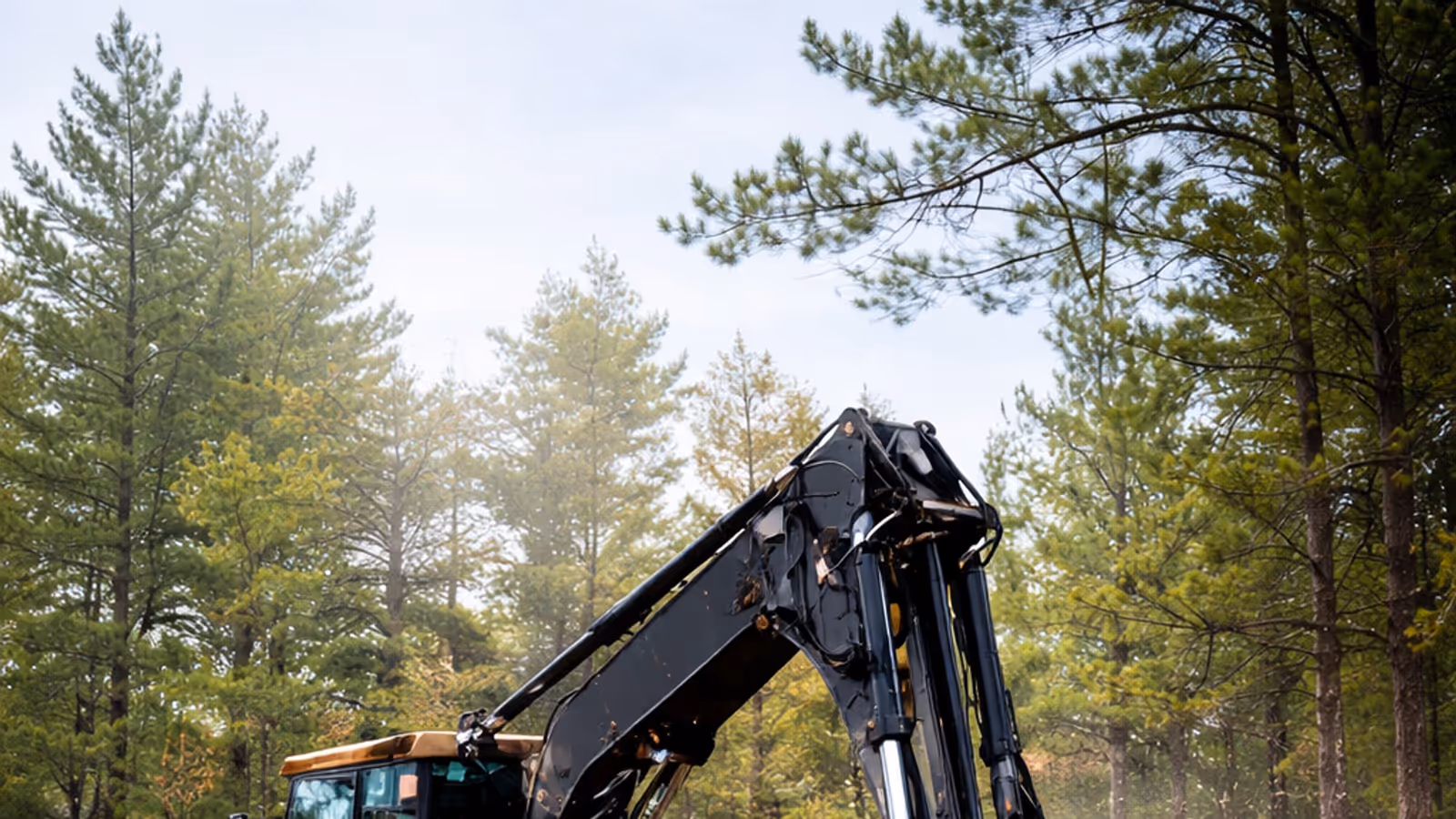 Forestry mulcher clearing trees and brush on Alabama property